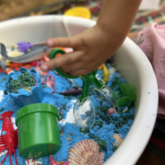Under the Sea Pour & Explore Kit