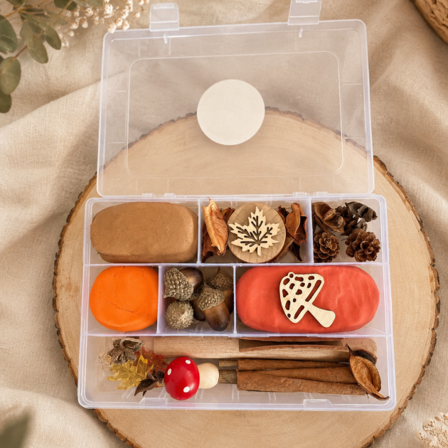 Pumpkin & Pine Play Dough Kit